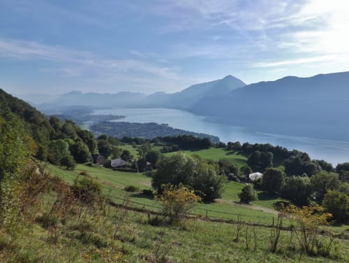 découvrir Brison-Saint-Innocent - gite le clos des platanes