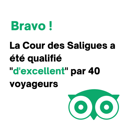 TripAdvisor Review - La Cour des Saligues