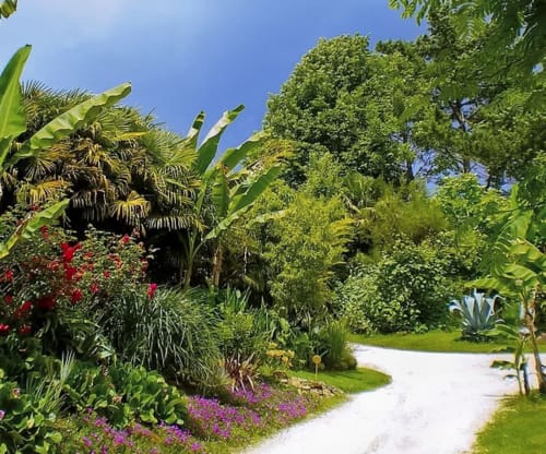 Jardin tropical, à visiter près de Riscle 