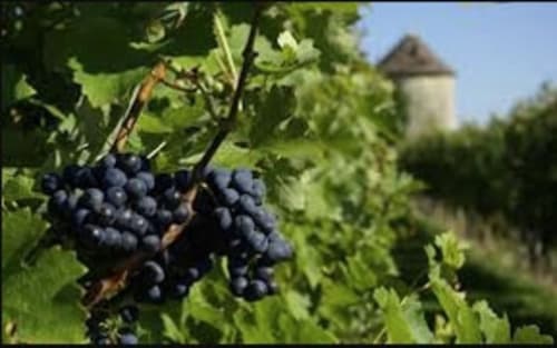 Vignobles du Gers - Madiran - Saint-Mont Armagnac
