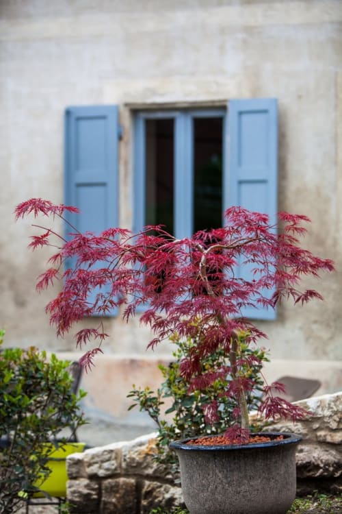plante et terrasse exterieure - visiter savoie - lac du bourget