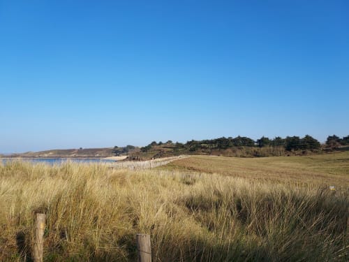 Maison_Triton_et_Porcelaine_environnement_maison_plage_du_port_dunes_protegees_Bretagne