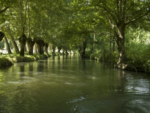 parc régional du Marais poitevin 