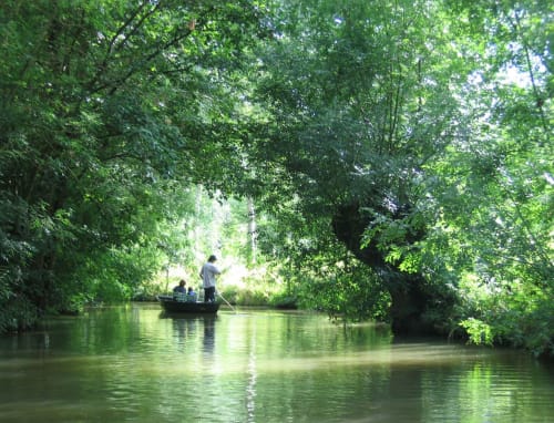 Marais de Poitevin
