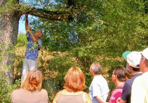 Ateliers dans le Sud - botanique - La Source Aveyron