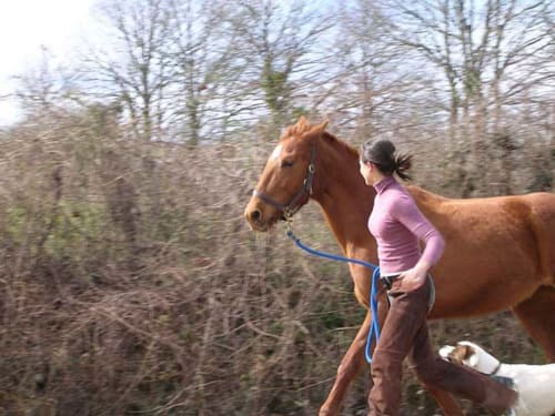 Balades à cheval dans l'Aveyron - La Source 