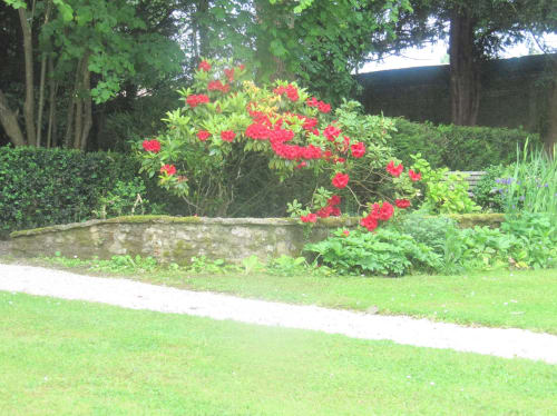 jardin du Château les Cèdres fleur piscine clos mur pierre de caen