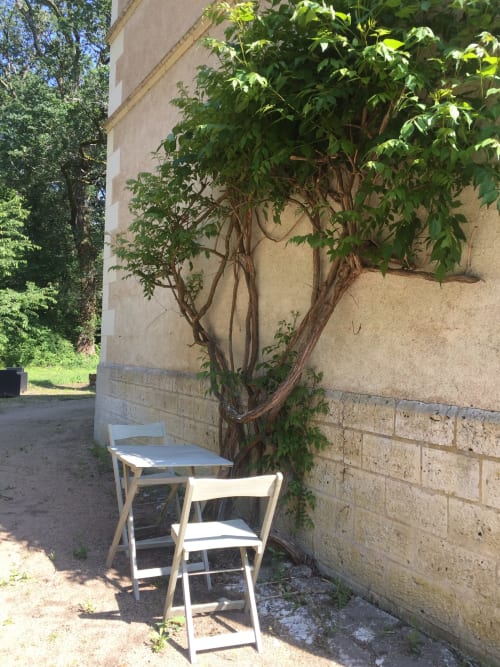 Relais des Acacias Gite 15 personnes proche des Chateaux de la Loire, Amboise et Chenonceaux