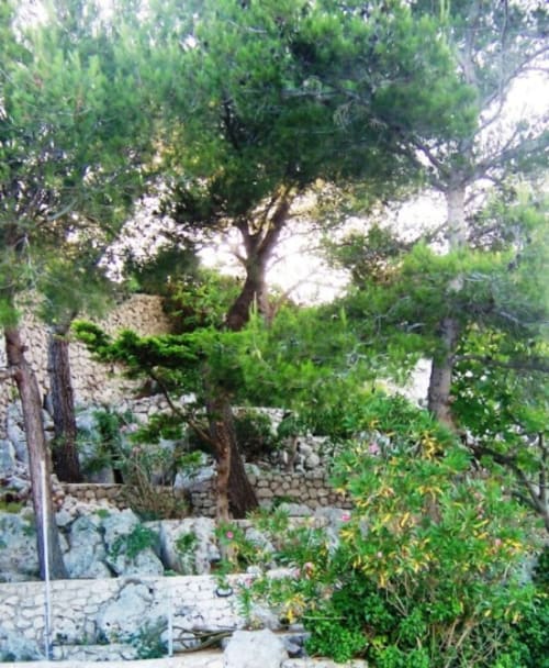 Residenza Pizziniaco - dimora storica a Lecce, Puglia