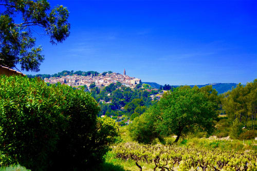 vue sur la Provence - paysage dans le Var - Mas Misajail 
