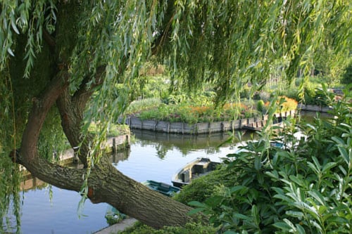 jardin et rivière en baie de somme - gite le clos du clocher