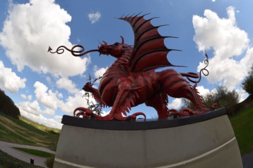 dragon - baie de somme - visiter arras