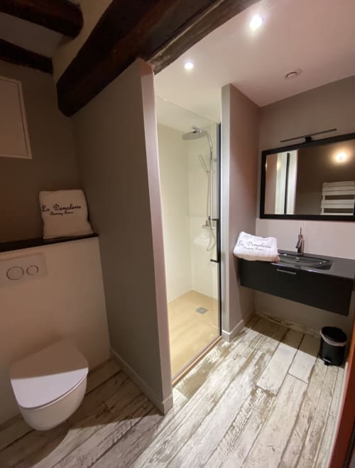 bathroom - shower - rental in cheverny
