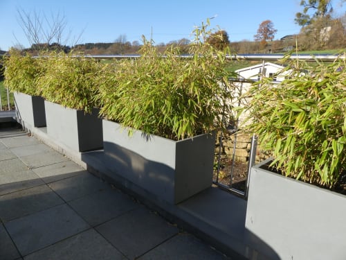 Appartement avec terrasse - 4 personnes - Gîtes du Pâquis - Lambermont 