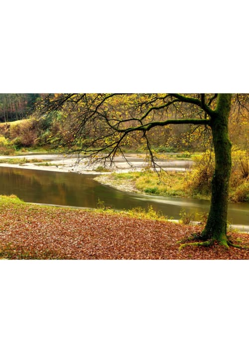 Wallonische Region - Sehenswertes - Vermietung in Lambermont 