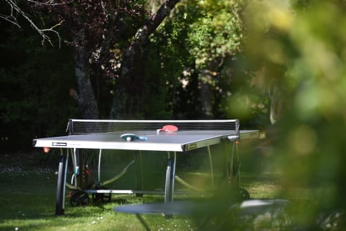 table de ping pong - loisirs - la demalerie cheverny