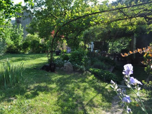 Jardin verdoyant - chambres d'hôtes Gard - La Ribeyrette