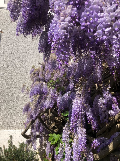 Vacances en chambre d'hôtes  avec jardin privé| Maison Latour | Cholet