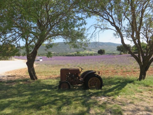 B&B, Bed and Breakfast, Couleurs du Sud, Vallon-Pont-d'Arc, Ardèche, Auvergne-Rhône-Alpes, France, Holidays