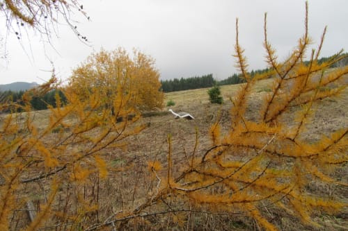 Maison et table d'hôtes avec petits-déjeuner Mezenc Estables Nature calme ressourcement