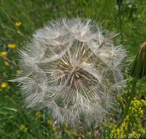 Maison d'hôtes Mezenc Estables Nature calme plantes ressourcement