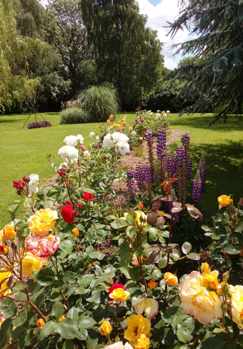 jardin et fleurs - location de gite à GUEUDECOURT