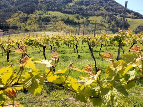 Agroturismo Erlete Goikoa -  Deba, Pais Vasco
