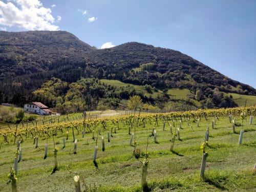 Agroturismo Erlete Goikoa -  Deba, Pais Vasco