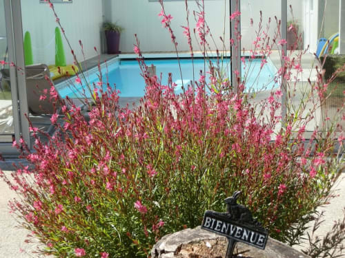 Vacances en familleavec piscine en Anjou |  Domaine de Meigné