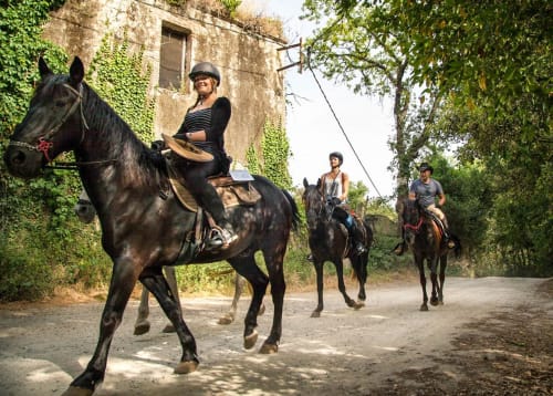 balade à cheval - gite à vaux en beaujolais