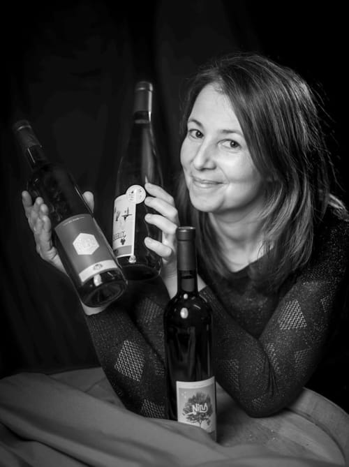 domaine familiale - le domaine les béliers - nos vins