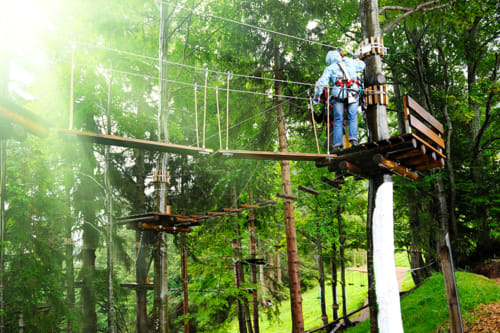 gîte à louer - accrobranche Au fil des arbres”, à Blacé