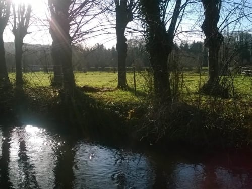maison en bord de rivière - Location en Picardie - Chez Robins