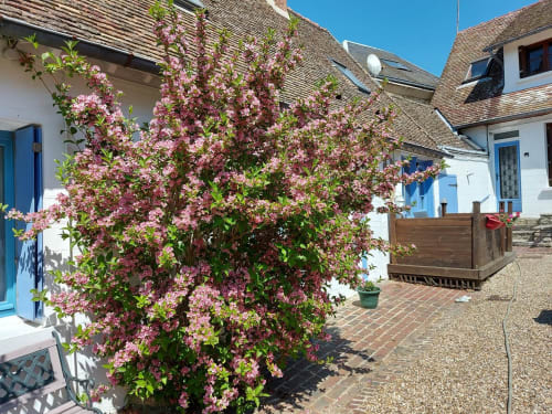 House in bloom - Holiday rentals in Oise - Chez Robins - gite