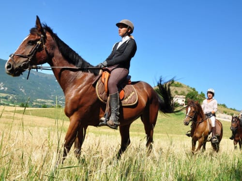 équitation en Picardie -  randonnées à cheval - Chez robins