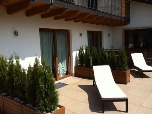 B&B Aria d’Argento -  Ebike Tours - San Pietro in Cariano, Trento 