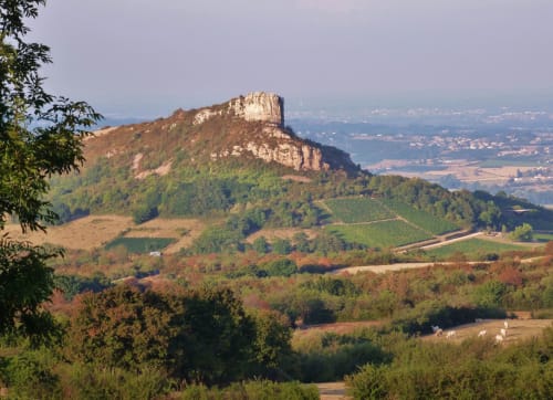 Roche de Solutré 71 emblème Mâconnais