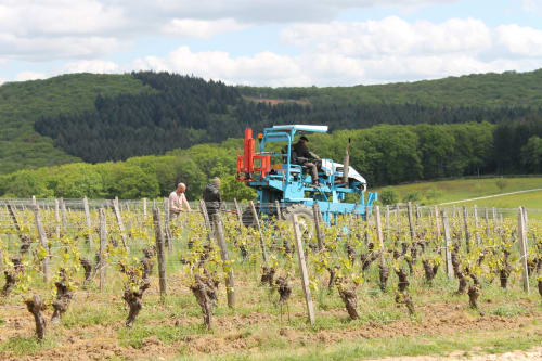 Chambres d'hôtes en Bourgogne Franche-Comté | Lugny | Hébergement mâconnais | Domaine Joseph LAFARGE