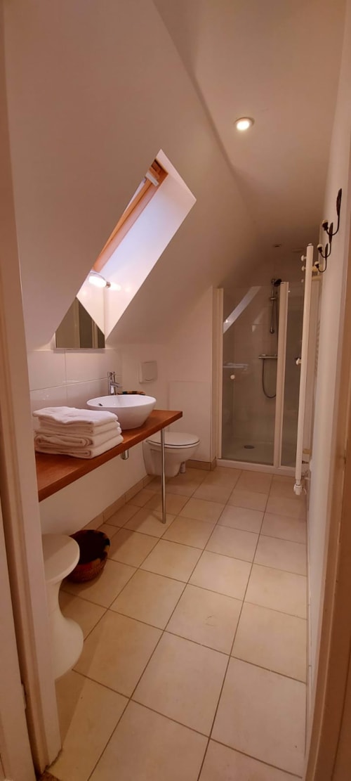 Salle de bain moderne de la Chambre Perle au Mas De Rigoulac, Argences-en-Aubrac, avec lavabo rond, douche et puits de lumière