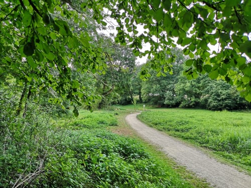 Sentier sinueux pittoresque à travers la forêt verdoyante et la prairie d'Orval Et Sens à Orvault
