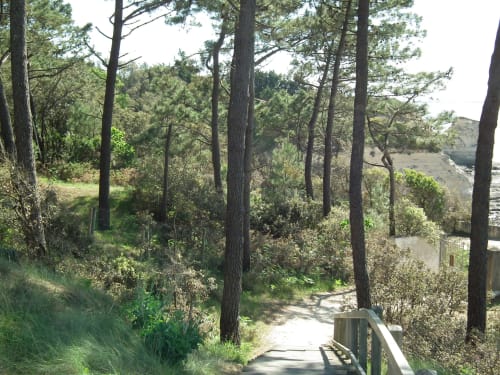 parc de l'estuaire - nature Charente Maritime - À l'orée du bois