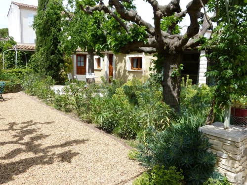 Cour de la maison d'hôtes Villa Thébaïde à Laudun L'Ardoise avec bâtisses en pierre, ancien arbre noueux et végétation méditerranéenne luxuriante