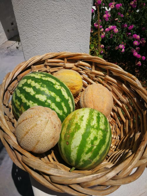 Stella del Sud Guesthouse -  Patù, San Gregorio, Lecce, Puglia