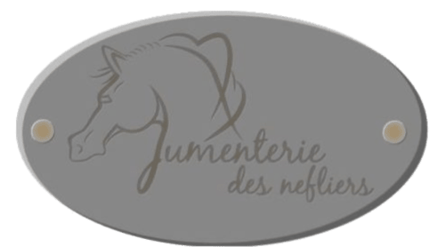 Jumenterie des Néfliers logo