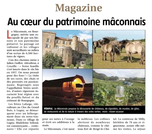 Le domaine considéré comme un patrimoine mâconnais