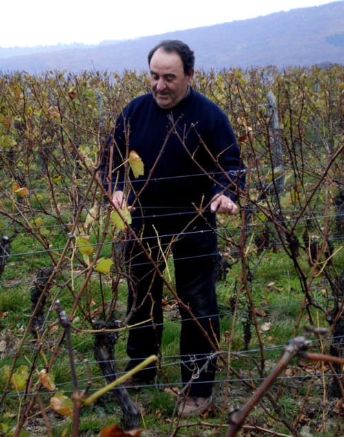 Chambres d'hôtes en Bourgogne Franche-Comté | Lugny | Hébergement mâconnais | Domaine Joseph LAFARGE | Domaine viticole Vigneron indépendant