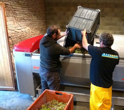 Anthony Lafarge| Vigneron