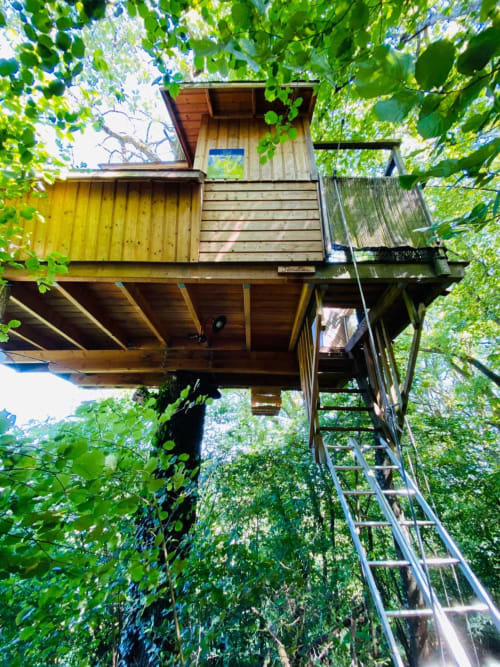 Vue au pied de la cabane, entourée d'arbres en pleine nature - cabanes en lorraine 