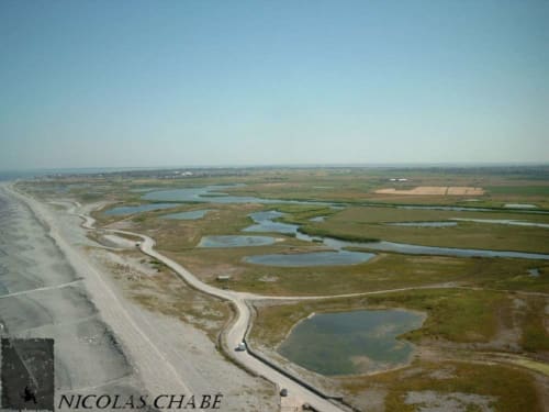 Hâble - Ault - Baie de Somme - Natur 