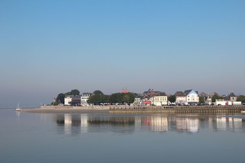 Bewohner des Sandes - Le Crotoy - Baie de Somme